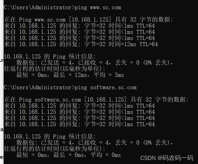 nginx 模拟域名解析 nginx 域名解析配置_nginx 模拟域名解析_02