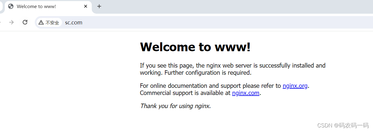 nginx 模拟域名解析 nginx 域名解析配置_nginx 模拟域名解析_03