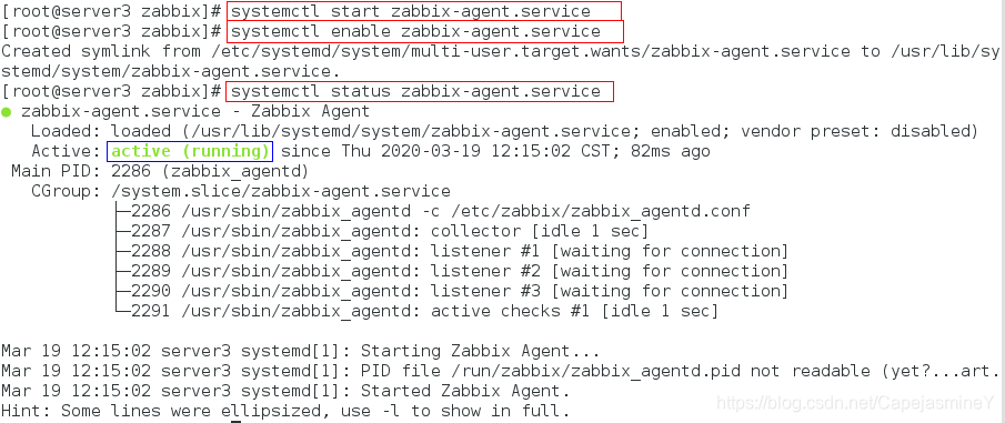 zabbix6容器采集丢失数据 zabbix采集不到数据_Server_48