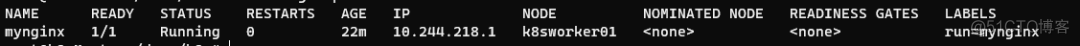 k8s pod 开启 nodeport k8s启动pod_kubernetes_04