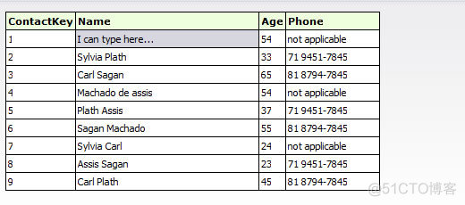 jquery DataTable 如何固定头部的搜索条件 jquery table插件_HTML_60