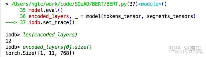 bert pytorch 加载预测 bert pytorch源码_bert pytorch 加载预测