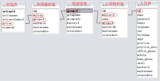 禅道 添加ldap用户 禅道如何分配用户权限_数据库_12