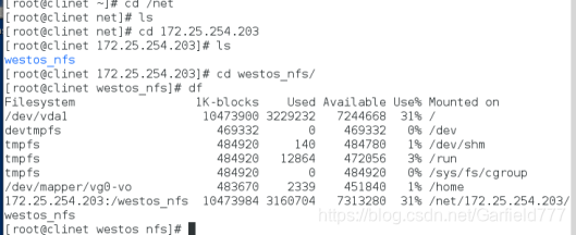 NFS服务端存放配置文件的子目录 nfs用到的文件和目录_vim_13