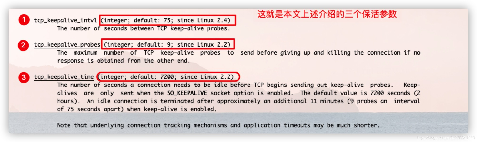 wireshark蓝色和红色 wireshark中黑色代表_http_04