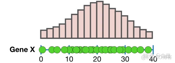 mysql 平均值 标准差 上四分位数 变异系数 平均值±标准差spss_方差 标准差_02