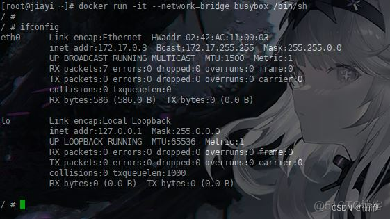 docker容器查看网络模式 docker容器的网络模式_容器_02