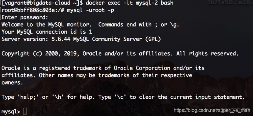 docker 进入MySQl操作数据库 docker登录mysql数据库_docker 进入MySQl操作数据库