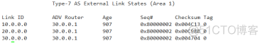 OSPF与STUB区域 ospf stub区域作用_路由表_11