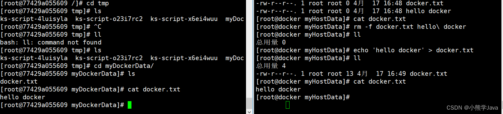 docker 容器i have no name docker 容器操作_docker