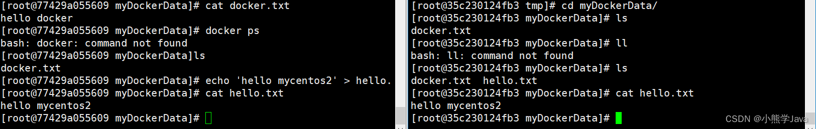 docker 容器i have no name docker 容器操作_数据_03