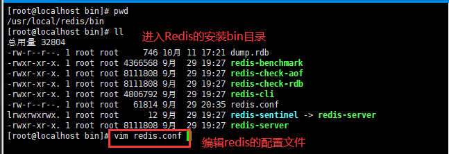 redis 缓存偏移 使用场景 redis缓存方案_Redis_57