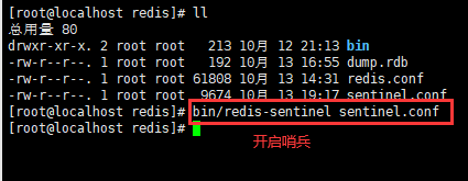 redis 缓存偏移 使用场景 redis缓存方案_redis 缓存偏移 使用场景_81