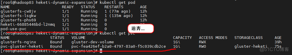 k8s NFS动态供给存储 k8s动态扩容_kubernetes_15