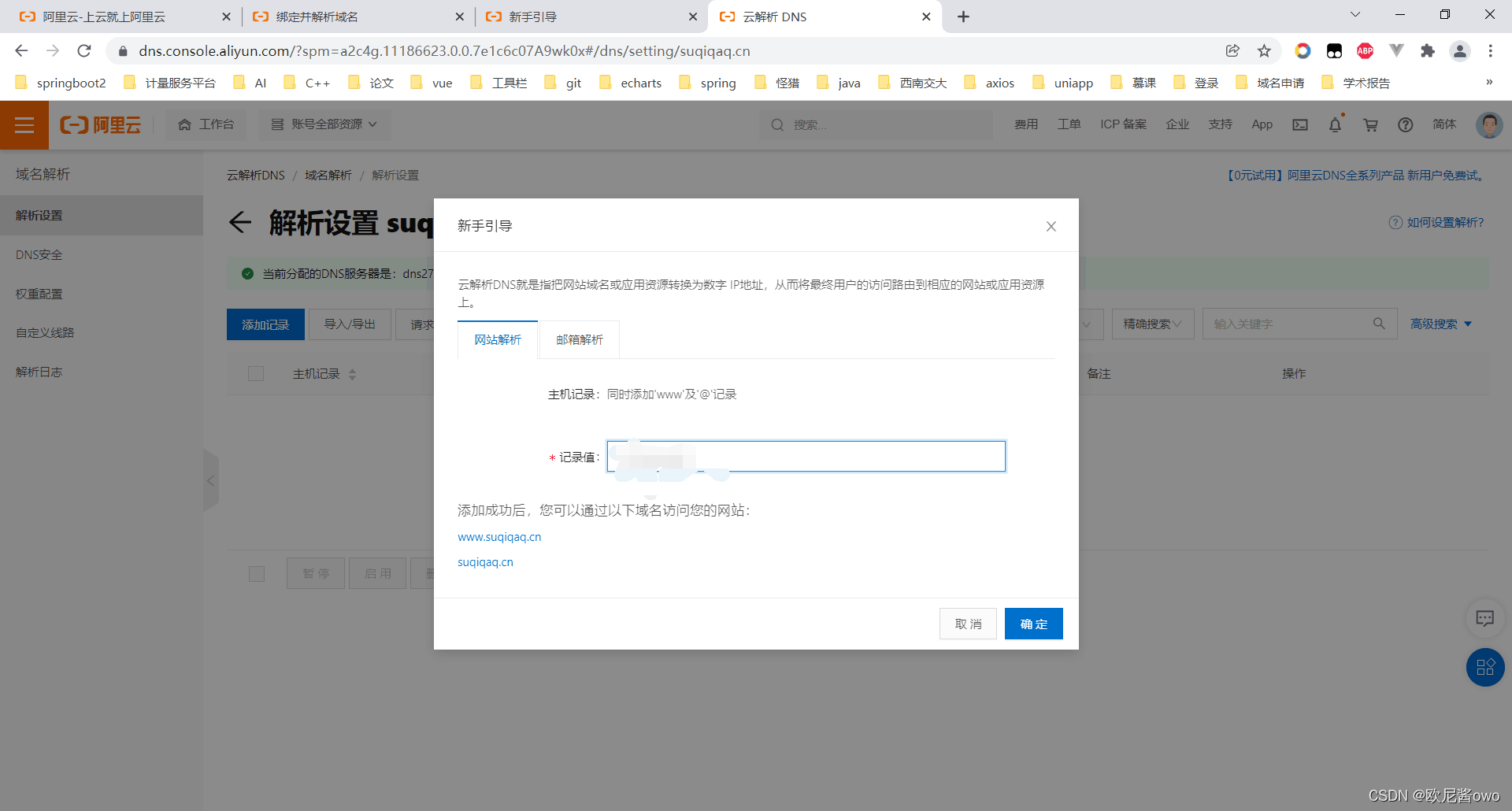 宝塔 java项目启动成功 状态未启动 宝塔运行目录没有public选择_nginx_26