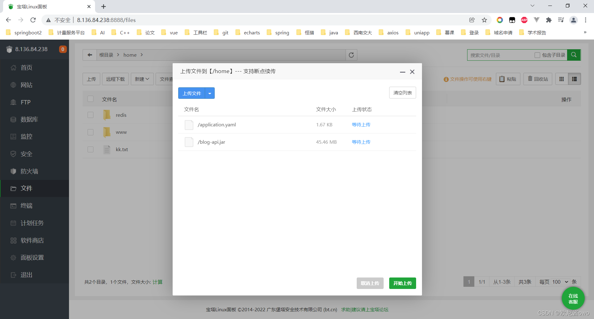 宝塔 java项目启动成功 状态未启动 宝塔运行目录没有public选择_nginx_30