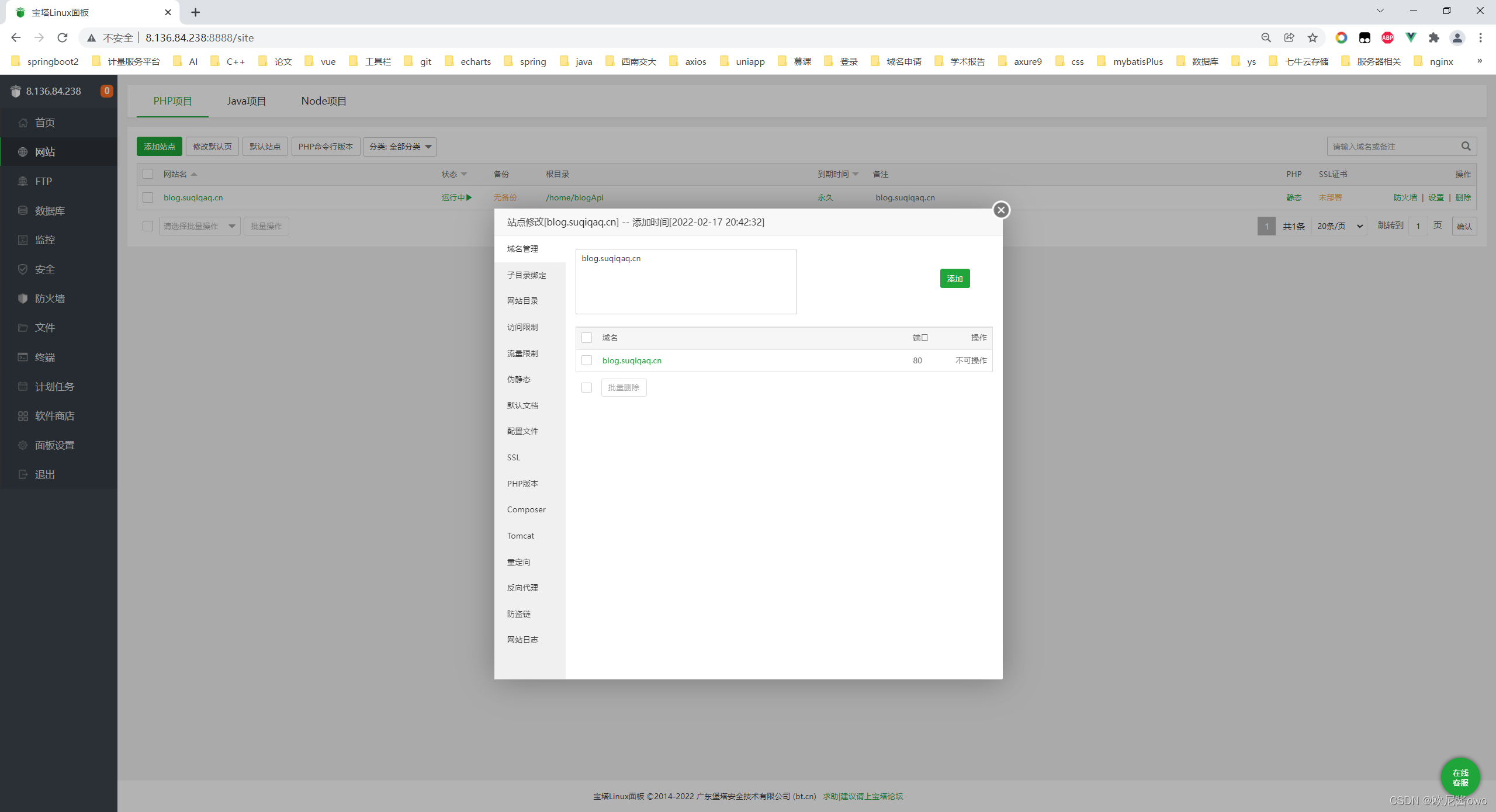 宝塔 java项目启动成功 状态未启动 宝塔运行目录没有public选择_nginx_37