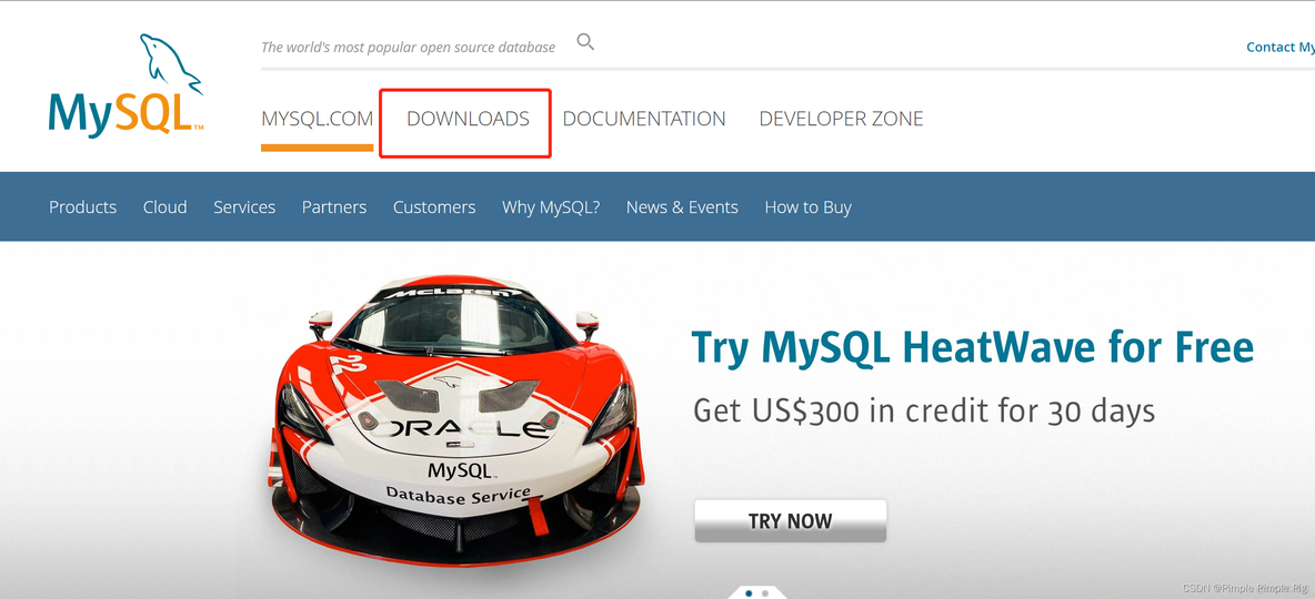 mysql官网下载mysql client mysql官网下载安装教程_数据库_02