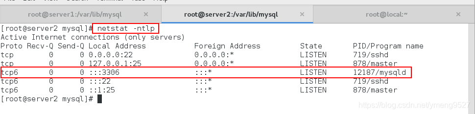 mysql 查看集群状态的命令 mysql数据集群_数据_02