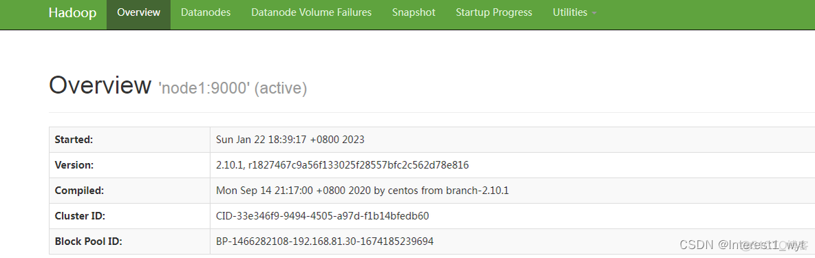 hdfs切换active hadoop切换active_hadoop