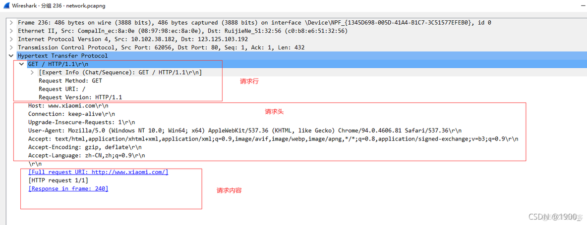 wireshark捕获邮件 wireshark抓取smtp_客户端_09