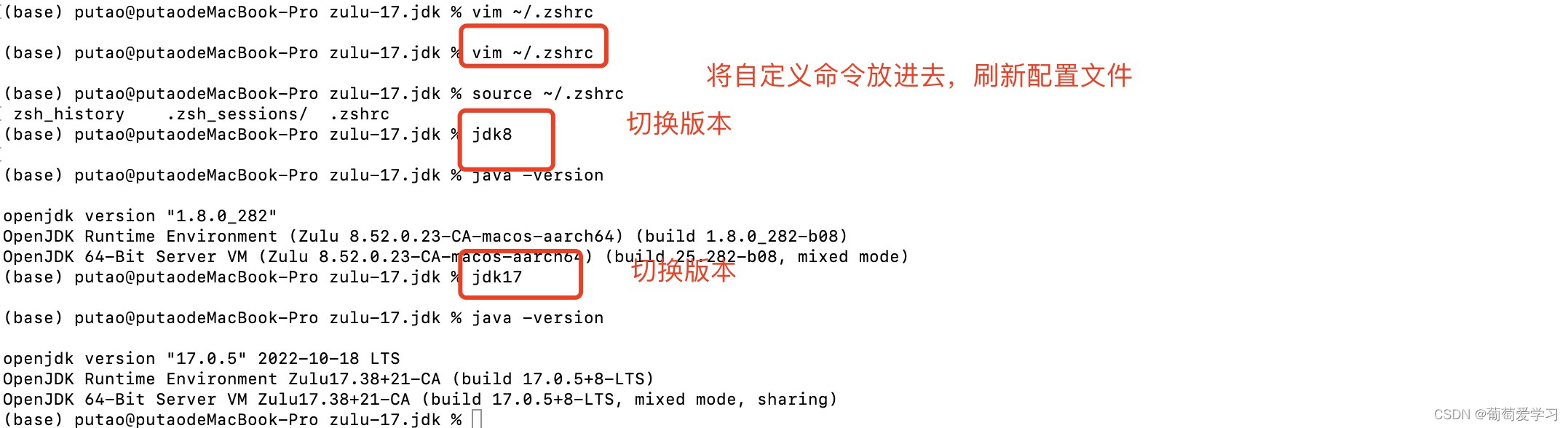 brew 管理多个java 版本 brew install jdk_brew 管理多个java 版本_05