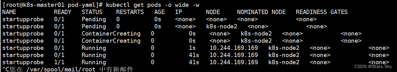 Kubernetes替代 kubernetes prow_容器_05