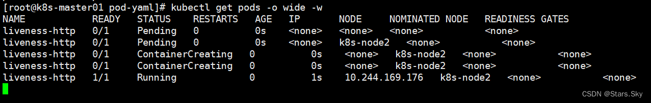 Kubernetes替代 kubernetes prow_Pod_07