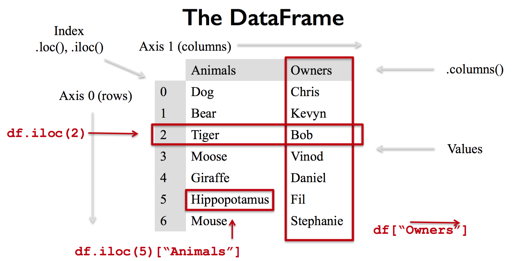 python如何让dataframe数据展示在终端所有列 python dataframe series_java_16