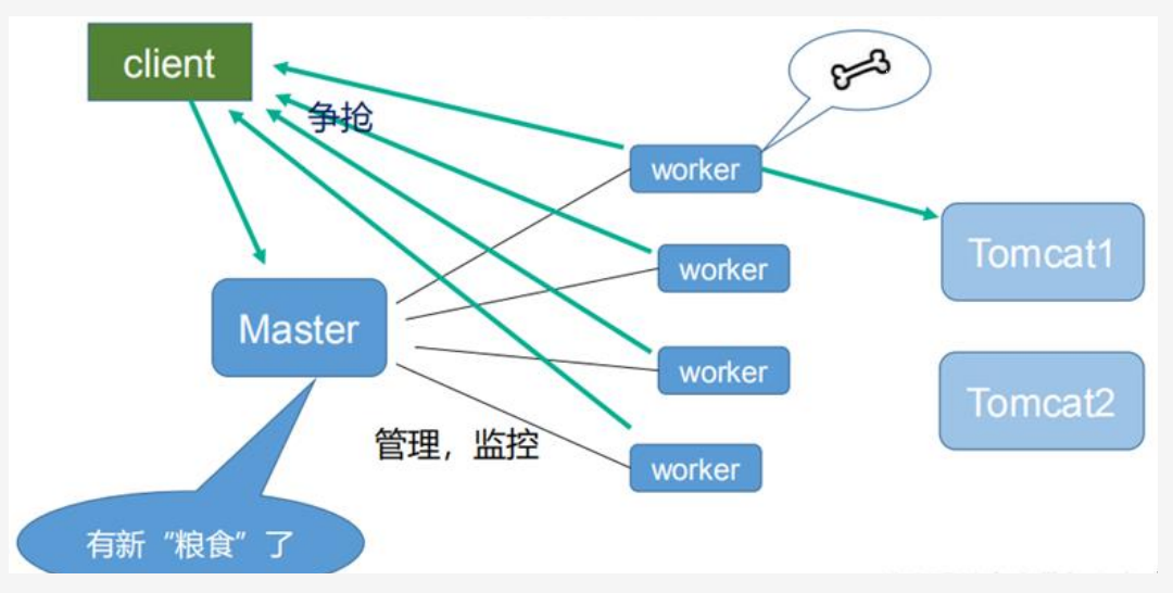 nginx的官网名 nginx官网是哪个_apache_39