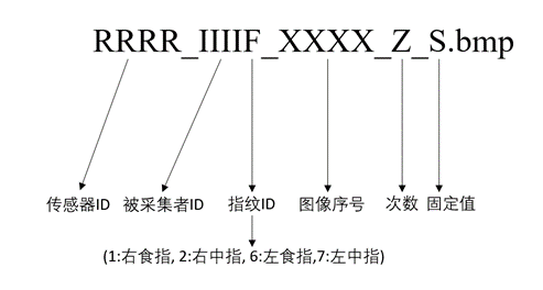 毕设深度学习图像检测一般数据集照片多少张 基于图像识别的毕设_神经网络_08