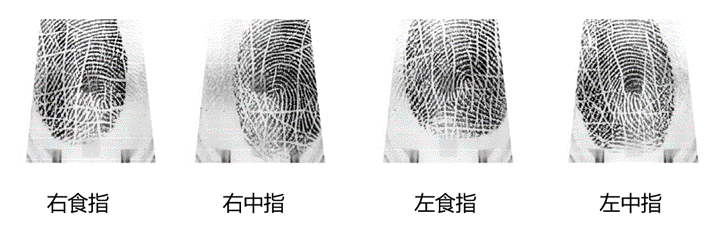 毕设深度学习图像检测一般数据集照片多少张 基于图像识别的毕设_数据_09