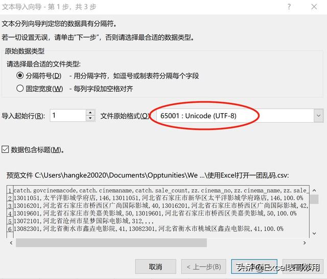 导入CSV文件 java 导入csv文件出现乱码_csv文件怎么转成excel_07