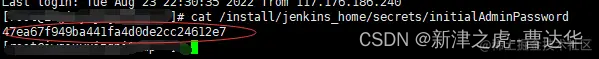 安装jenkins部署vue项目 jenkins构建vue_docker_12