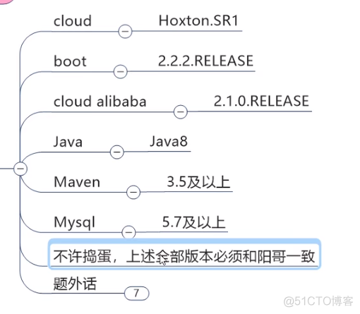 springboot项目中实体类的Id怎么写 springcloud实体类怎么规划_客户端_07