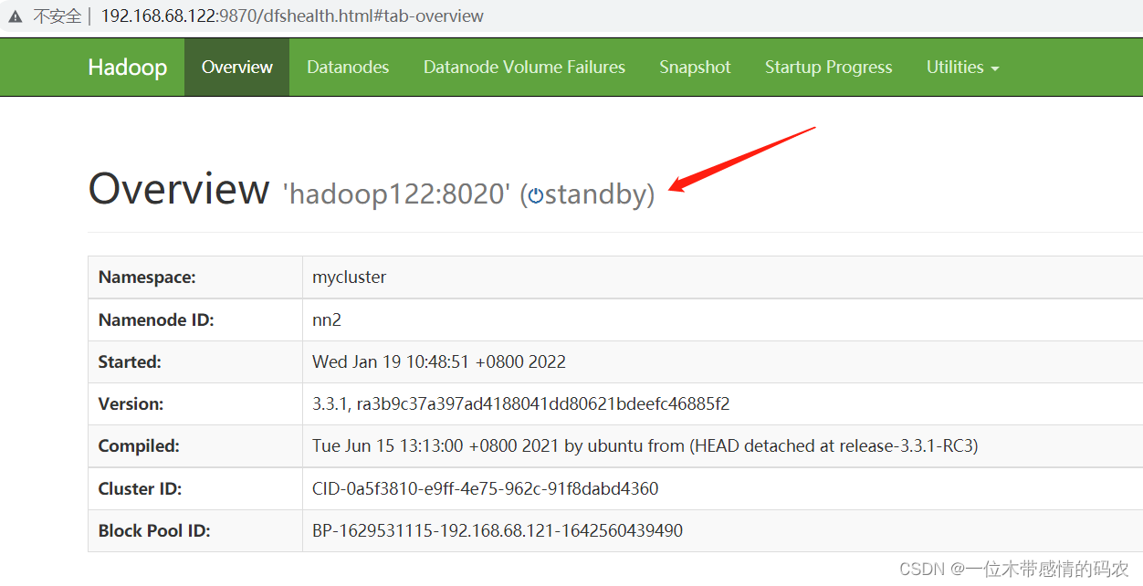 hadoop 进程批量kill hadoop kill application_高可用_08