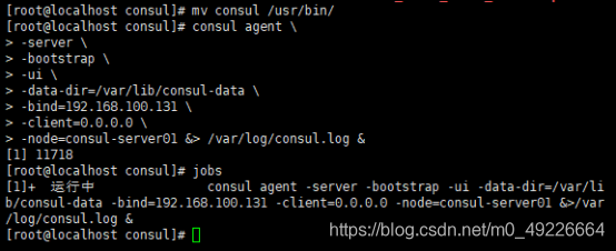 ealsticsearch docker单机部署 consul docker单机搭建集群_consul_06