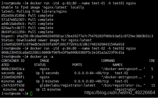 ealsticsearch docker单机部署 consul docker单机搭建集群_consul_11