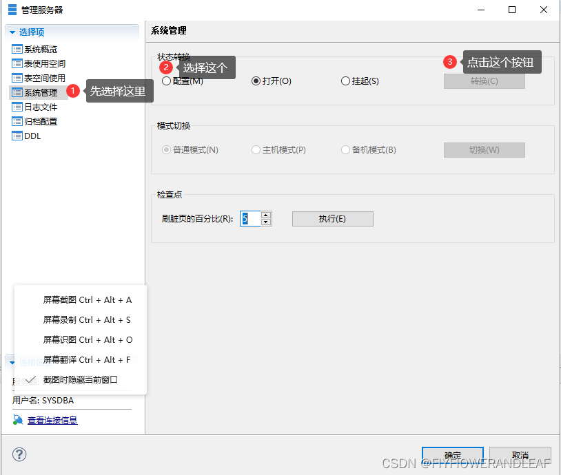 达梦数据库连接数监控 达梦数据库 连接_html_02