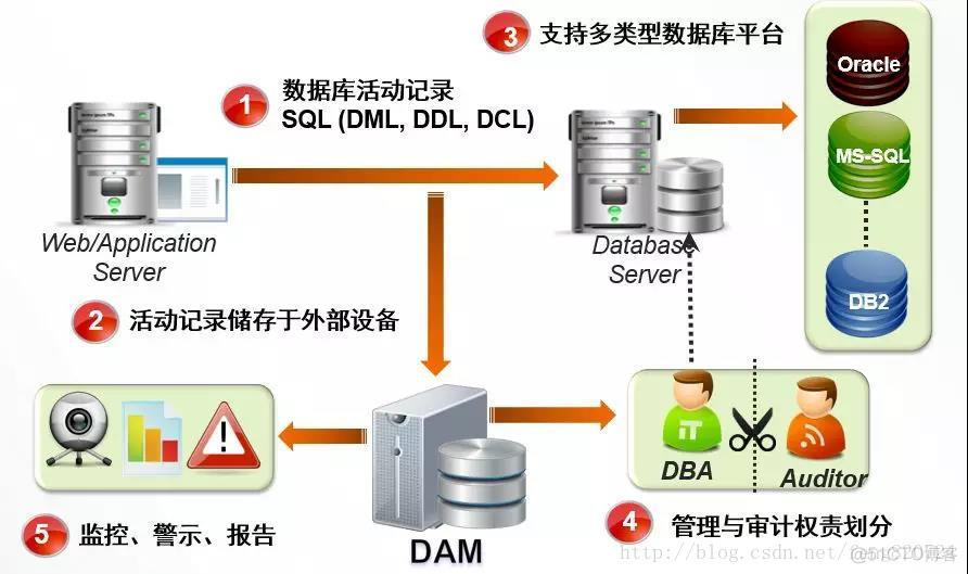 dockers MySQL8安全审计插件安装 数据库的安全审计策略_dbAudit_03