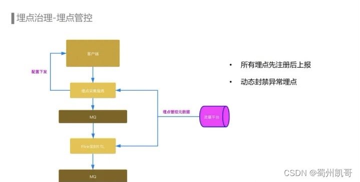 数据埋点存到redis 数据埋点怎么做_经验分享_17