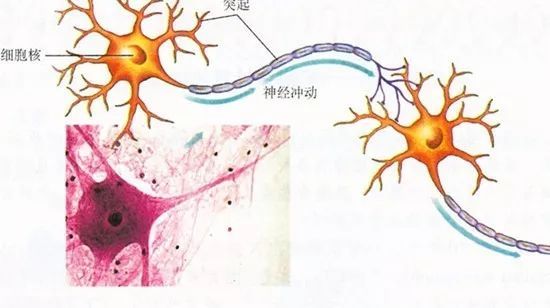 paddleocr使用gpu识别也很慢 平板gpu什么用_paddleocr使用gpu识别也很慢_12