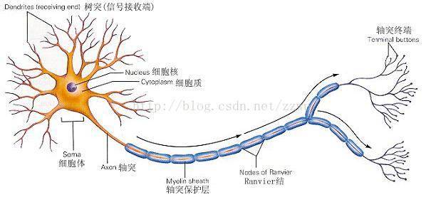 paddleocr使用gpu识别也很慢 平板gpu什么用_服务器基础知识全解_13