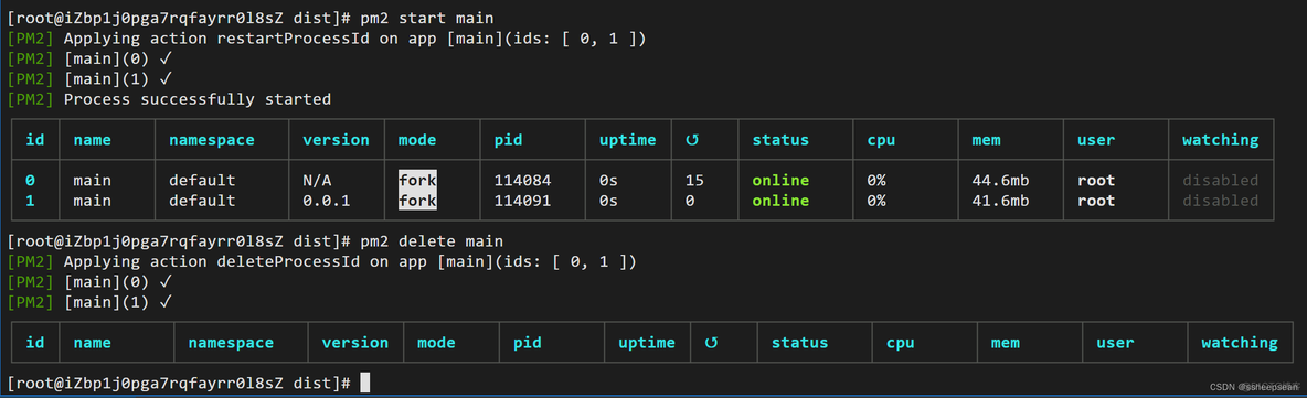 nest完整部署流程 nestjs 部署 生产_node.js_13