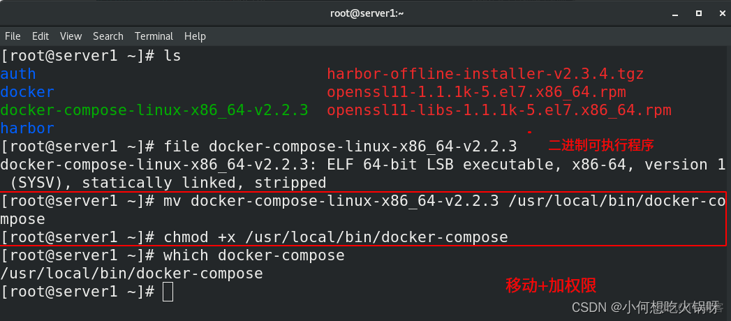 docker 项目管理平台 docker优秀项目_容器_101