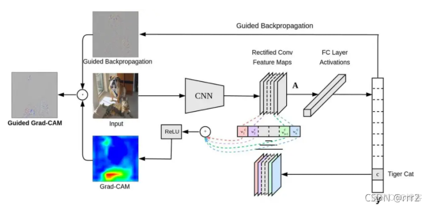 cnn可变patch size cnn可视化特征提取_神经网络_08