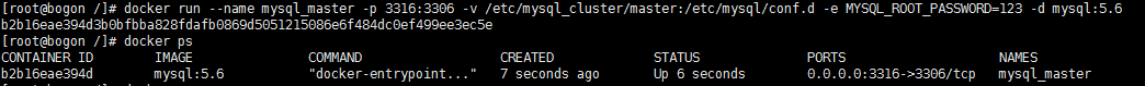 docker安装mysql做主从 docker mysql主从_mysql_02