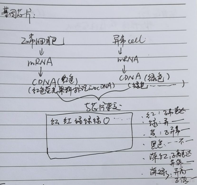 生物分析python 生物分析技术_谱分析_02