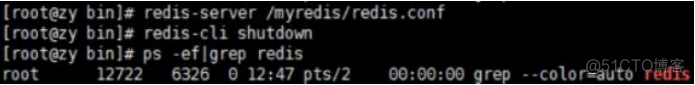 嵌入式中怎么使用redis redis 嵌入式版本_数据_16