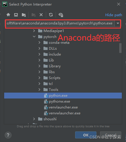 anaconda搭建python虚拟环境failed anaconda创建pytorch虚拟环境_python_09